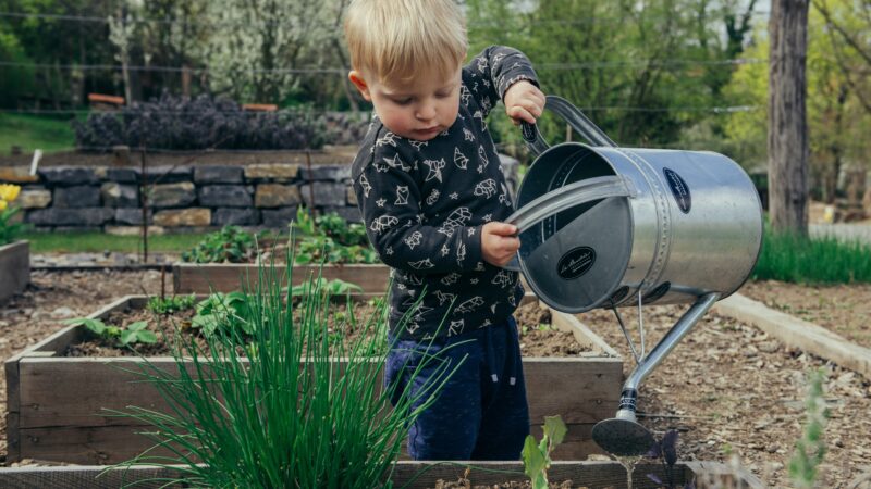 Jardinage pour débutant le guide pour commencer